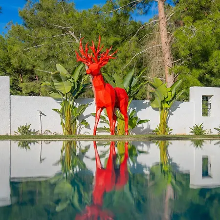 Villa Dinyeper Ölüdeniz
