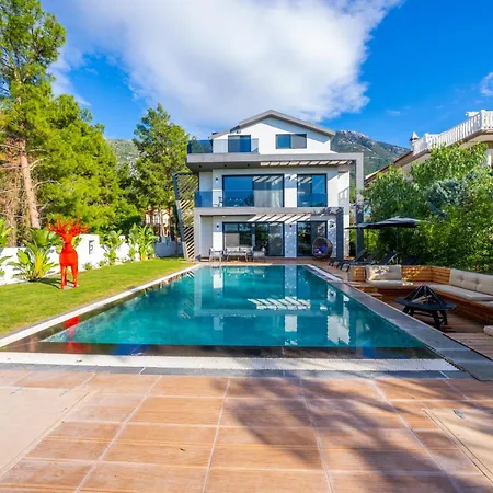 Villa Dinyeper *